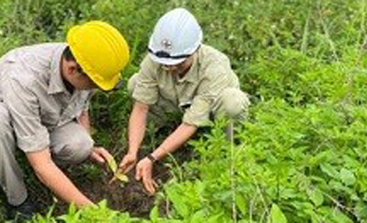 Công ty thủy điện Buôn Kuốp phát động đảm bảo an  toàn môi trường